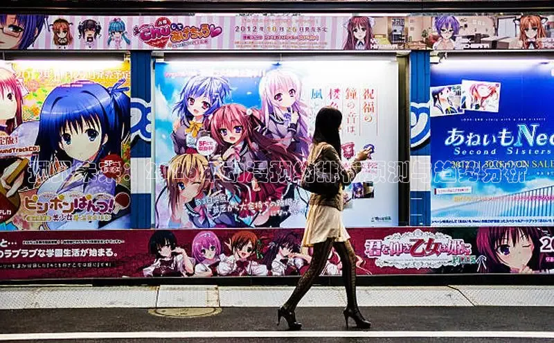 星耀国际com官网登录入口网址